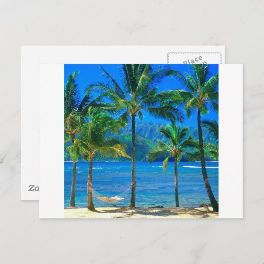 Beach Hammock Kauai Hawaii Briefkaart (Voorkant / Achterkant)