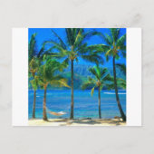 Beach Hammock Kauai Hawaii Briefkaart (Voorkant)