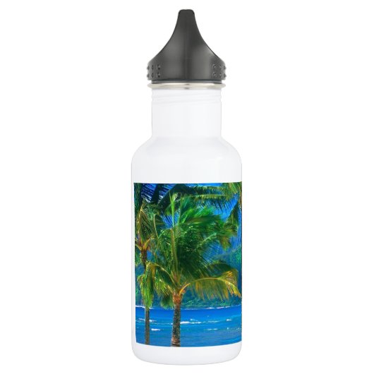 Beach Hammock Kauai Hawaii Waterfles (Links)