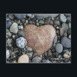 Beach Heart Briefkaart<br><div class="desc">Ga een wandeling maken langs een van de prachtige stranden van San Juan Island en zoek naar schat.</div>