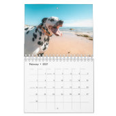 Beach Hogs Kalender (Feb 2027)