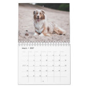 Beach Hogs Kalender (Mar 2027)