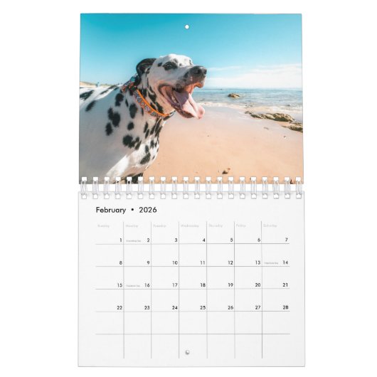Beach Hogs Kalender (Feb 2026)