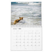 Beach Hogs Kalender (Jan 2026)