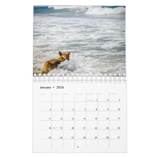Beach Hogs Kalender (Jan 2026)