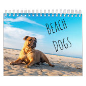 Beach Hogs Kalender (Hoes)