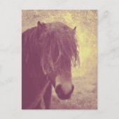 Beach Horse Briefkaart (Voorkant)