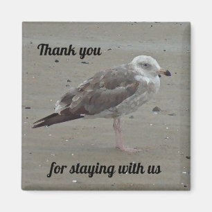 Beach House Rental Unique Seagull Guest Dank u Magneet
