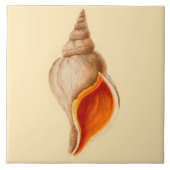Beach House Theme Ceramic Wall Tiles Conch Shell Tegeltje (Voorkant)