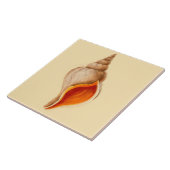 Beach House Theme Ceramic Wall Tiles Conch Shell Tegeltje (Zijkant)