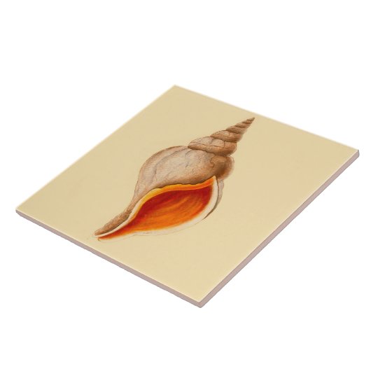 Beach House Theme Ceramic Wall Tiles Conch Shell Tegeltje (Zijkant)