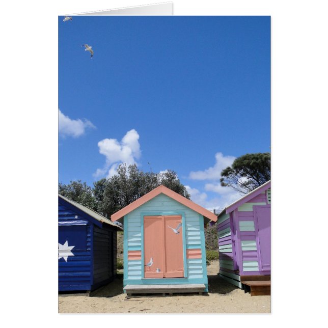 Beach Hut Seaguls (Voorkant)
