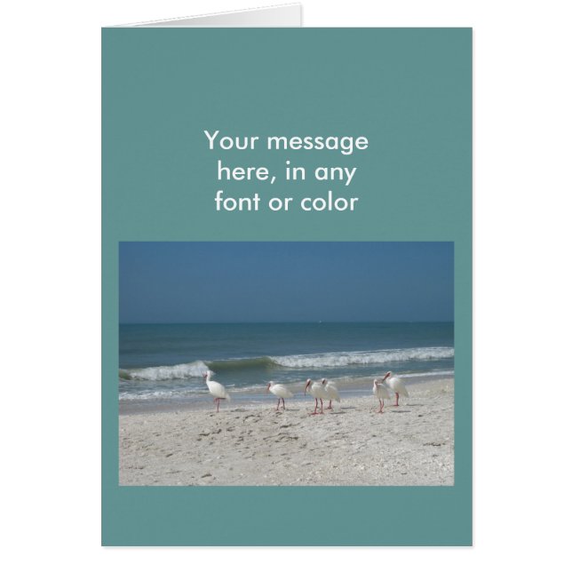 Beach Ibis (Voorkant)