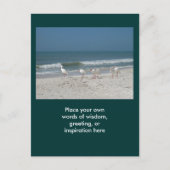 Beach Ibis Briefkaart (Voorkant)