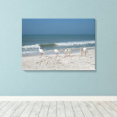 Beach Ibis Canvas Afdruk (Insitu (Houten vloer))