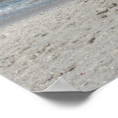 Beach Ibis Poster (Hoek)