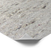 Beach Ibis Poster (Hoek)