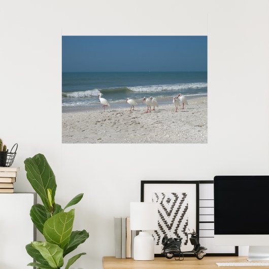 Beach Ibis Poster (Thuiskantoor)