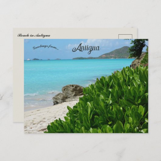 Beach in Antigua Briefkaart (Voorkant / Achterkant)