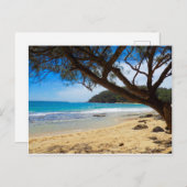 Beach in Kauai Briefkaart (Voorkant / Achterkant)