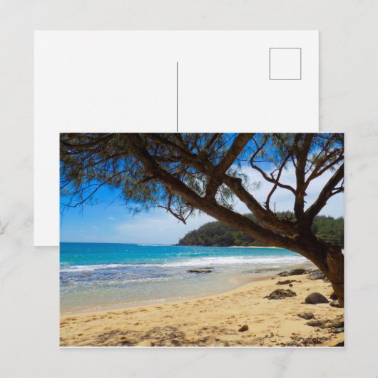 Beach in Kauai Briefkaart (Voorkant / Achterkant)