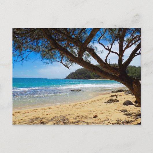Beach in Kauai Briefkaart (Voorkant)