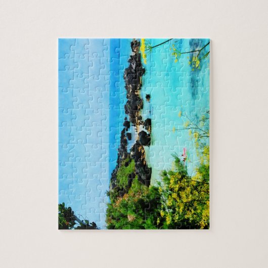 Beach in St. George Bermuda Legpuzzel (Verticaal)