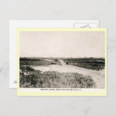 Beach Lane, Westhampton, Vintage van New York Briefkaart (Voorkant / Achterkant)