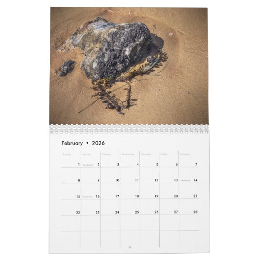 Beach Life Calander Kalender (Feb 2026)