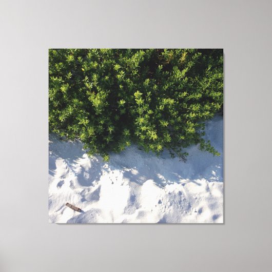Beach Life Canvas Afdruk (Voorkant)