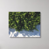 Beach Life Canvas Afdruk (Voorkant)