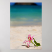 Beach Lily 24x36 art print (Voorkant)