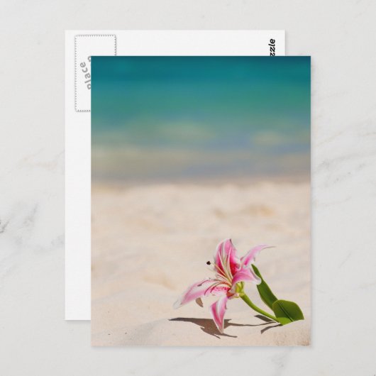 Beach Lily Briefkaart (Voorkant / Achterkant)