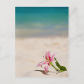 Beach Lily Briefkaart (Voorkant)