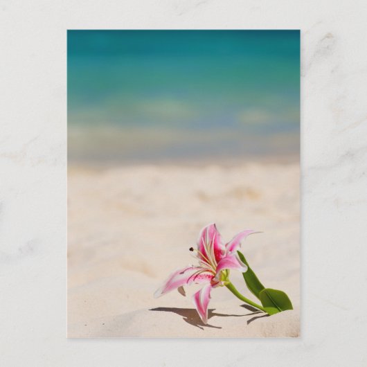 Beach Lily Briefkaart (Voorkant)
