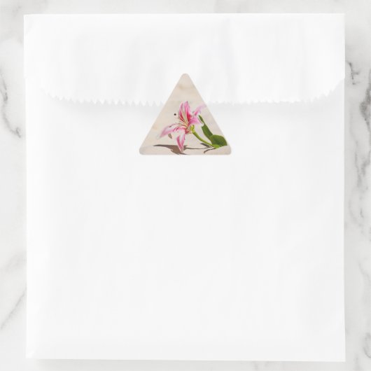 Beach Lily Sticker (Tas)