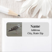 Beach Lone Seagull Photo Ocean Bird Etiket (Insitu)