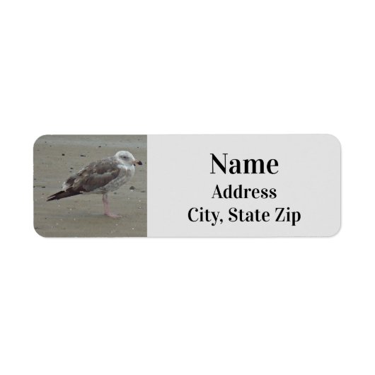 Beach Lone Seagull Photo Ocean Bird Etiket (Voorkant)