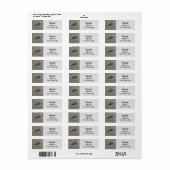 Beach Lone Seagull Photo Ocean Bird Etiket (Full Sheet)