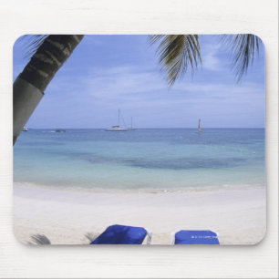 Beach, Lounge-voorzitter, palmboom, Horizon over Muismat