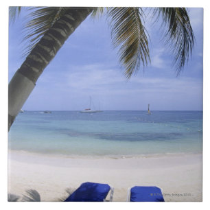 Beach, Lounge-voorzitter, palmboom, Horizon over Tegeltje