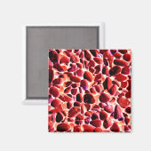 BEACH MAGNEET (Voorkant / Achterkant)