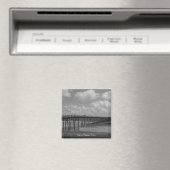 Beach Magneet (Insitu (Vaatwasser))