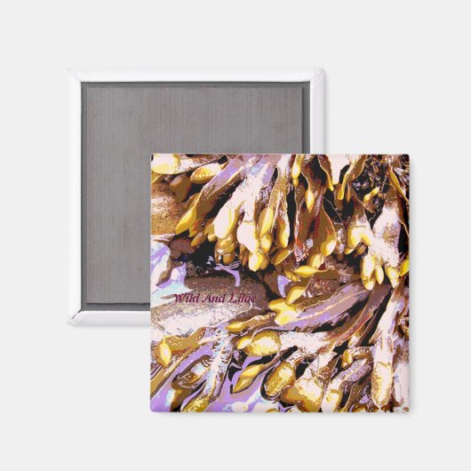 BEACH MAGNEET (Voorkant / Achterkant)