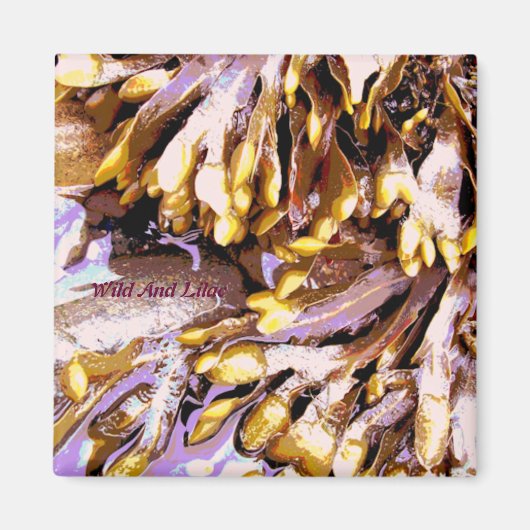 BEACH MAGNEET (Voorkant)