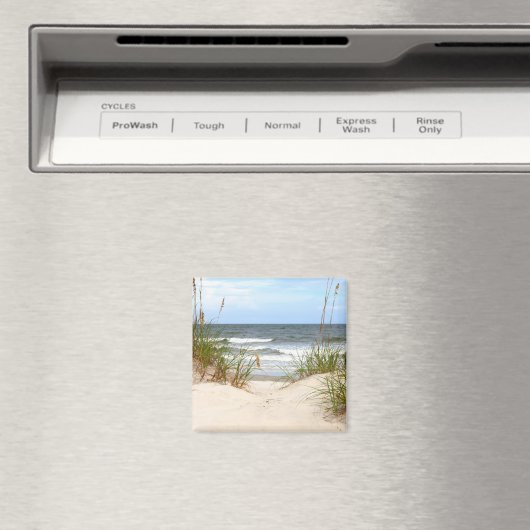 Beach Magnet (Insitu (Vaatwasser))