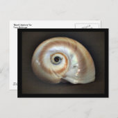 Beach Memory Briefkaart (Voorkant / Achterkant)