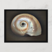 Beach Memory Briefkaart (Voorkant)