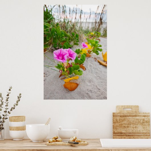 Beach Morning Glory (Ipomoea Stolonifera) Poster (Keuken)