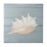 Beach Nautic Seashell Conch Tropical Blue Wood Tegeltje<br><div class="desc">Weathered,  zon gebleekt,  stoffige leisteen blauw geschilderd geschilderd hout ondergrond plaatst een elegant geschilderde Conch seashell. Alle kunst werd geschilderd in oliepastels door een internationaal erkende kunstenaar en ontwerper,  Audrey Jeanne Roberts,  copyright.</div>